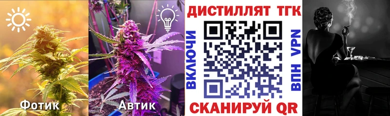 продажа наркотиков  Мглин  Дистиллят ТГК гашишное масло 